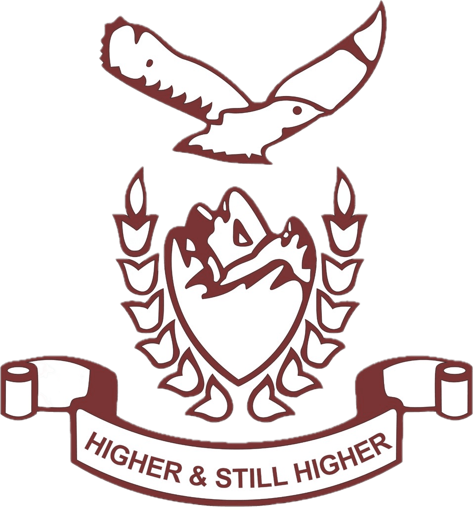 PGGC 11